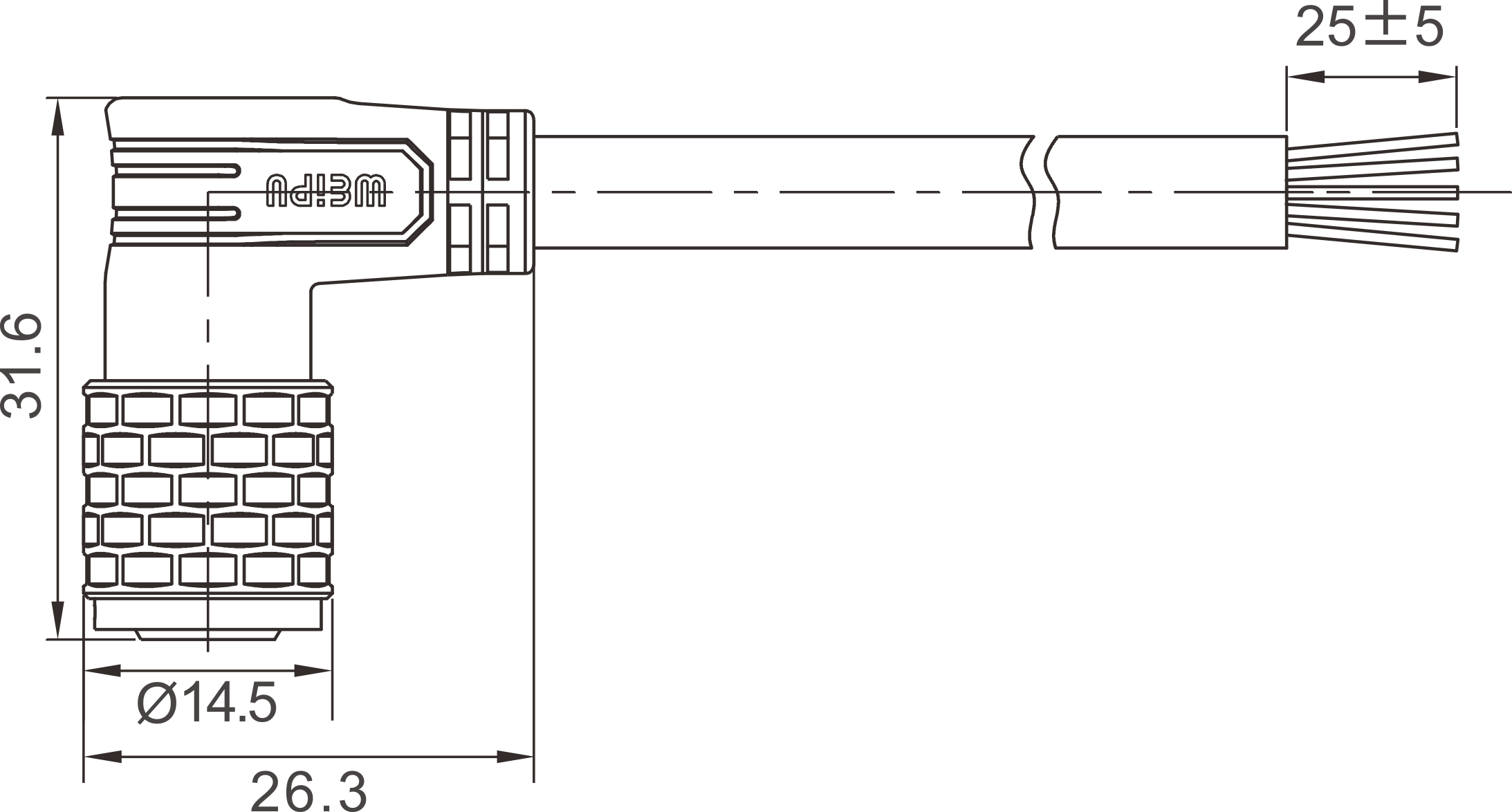SF1024 2D